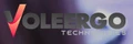 Voleergo
