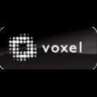 Voxel logo