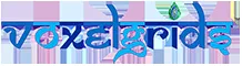 Voxelgrids logo