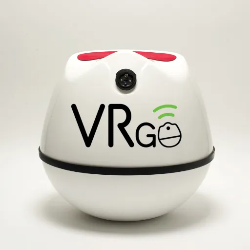 VRgo logo