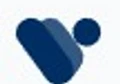 VRPlatform logo