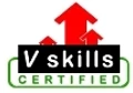 Vskills