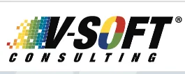V-Soft Consulting