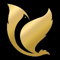 Vsple Technologies