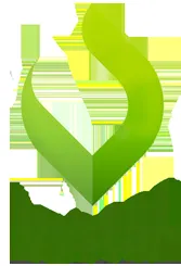 Vystar logo