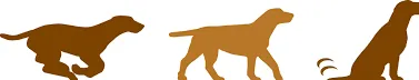 Waggin' Train logo
