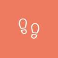 Walk My Steps logo