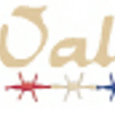 Walls Industries logo