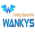 Wankys