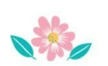 Warda app