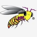 Wasp Barcode logo