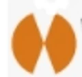 Watch Station logo