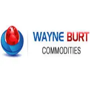 Wayne Burt Capital logo