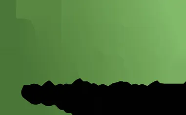 WCS Consult logo