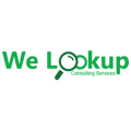 We Lookup Consulting Services