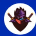 Web Ninja Solutions