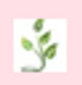 Web Plant