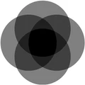 WebGinnie