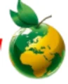Webinova