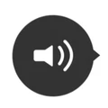 WebsiteVoice logo