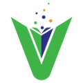 WebVidya