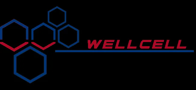 WellCell Holdings