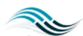Wellspring Digital logo