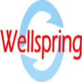 Wellspring Software Labs