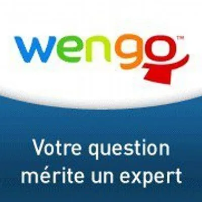 Wengo logo