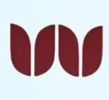 Westova Global logo