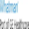 Whatman logo
