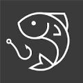 When to Fish logo