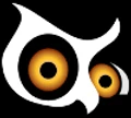 White Owl IT logo