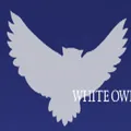 White Owl Capital logo