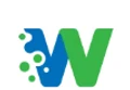 Whiz Web Solutions