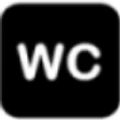 Whizcrew Consulting