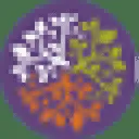 WholeLife logo