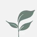 Wholesome World logo
