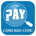 Whypay logo