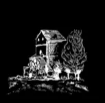 Whyte Farms