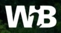 WiB Solutions logo