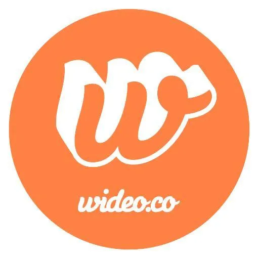 Wideo logo