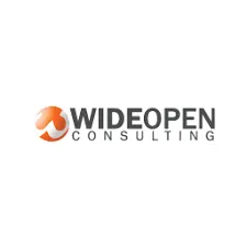 Wide Open Consulting logo