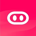 Wiizzo logo