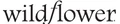 Wildflower Cases logo