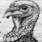Wild Turkey logo