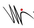 Willson Medical Systems