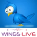 Wings Interactive India