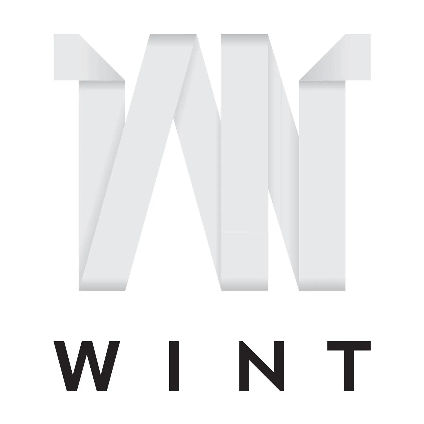 Wint logo
