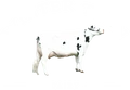 Winter Tarn Dairy logo